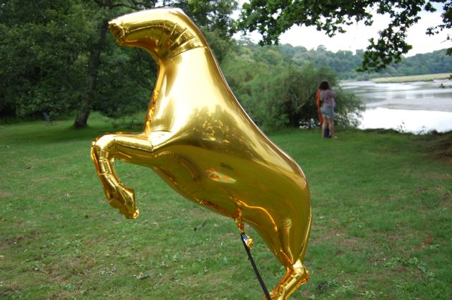 golden horse balloon beside the river